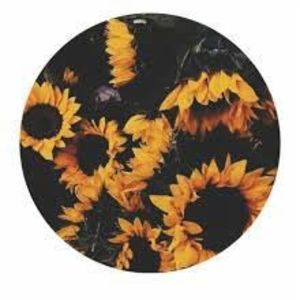 Meet your Posher, Sidney